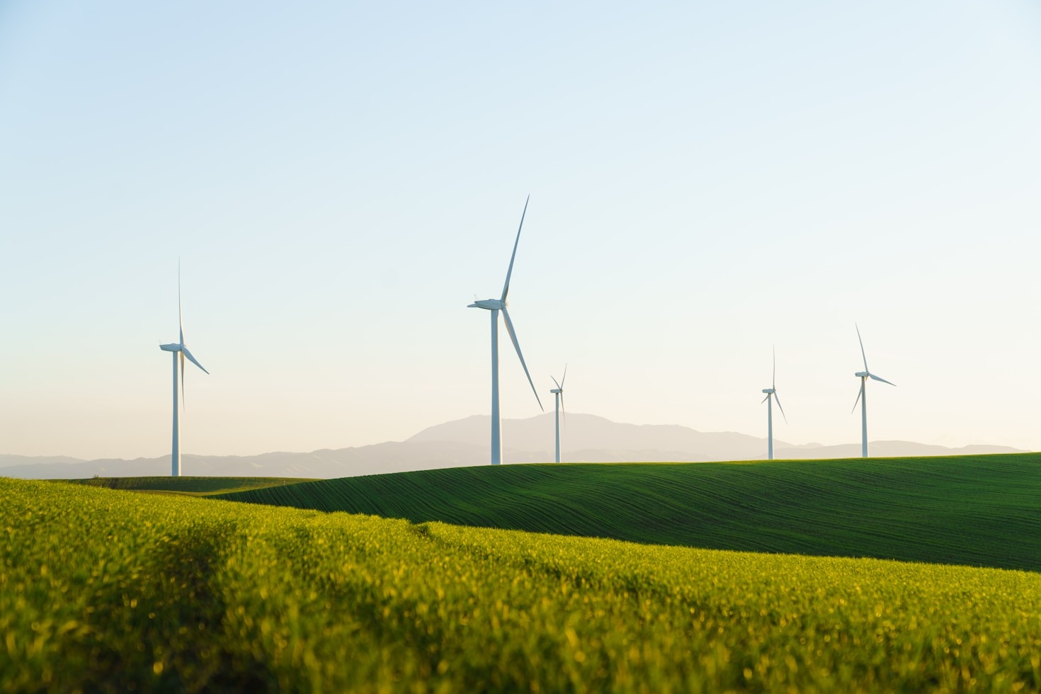 The Role of Technology in Modern Recycling Innovation